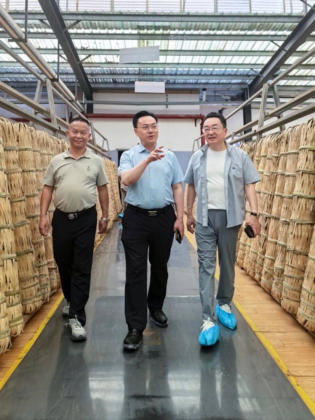 皇冠信用網登2_中国工程院院士刘仲华调研理想华莱皇冠信用網登2,共谋黑茶产业高质量发展新篇章