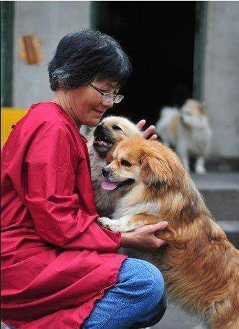 皇冠信用网
_合肥卖房救助流浪狗的魏阿姨离世皇冠信用网
,病中仍然惦记着基地的600只流浪狗,工人:不敢相信世上还有这样执着的人