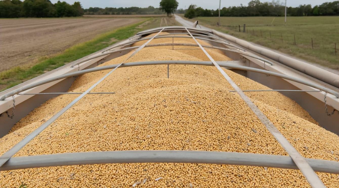 皇冠信用網足球代理
_中美五轮贸易谈判达成共识皇冠信用網足球代理
,中方接连购美大豆小麦显诚意,特朗普借 “无核化” 设局打压中国