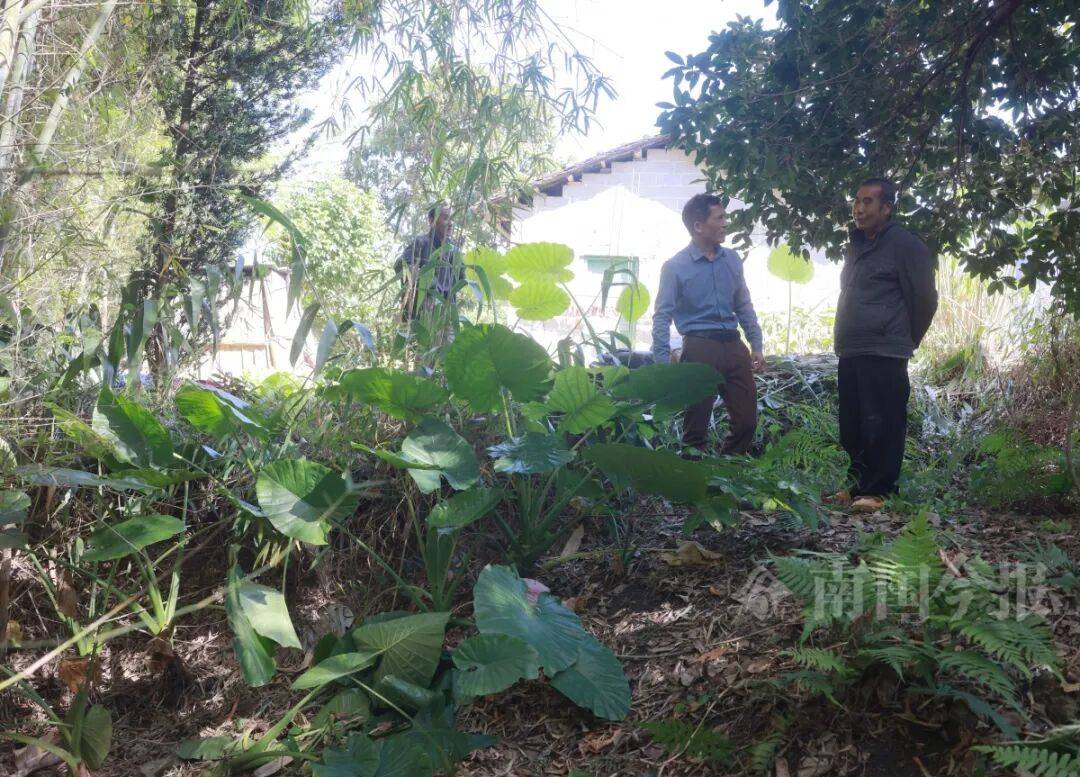 皇冠信用需要押金吗
_柳州钓鱼阿叔竹林挖蚯蚓皇冠信用需要押金吗
,竟挖出千年前的“大宝贝”!